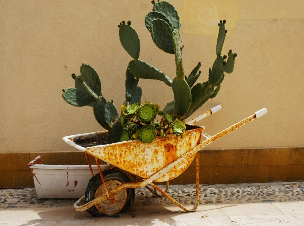 upcycled items