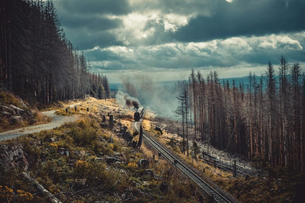 sustainable travel