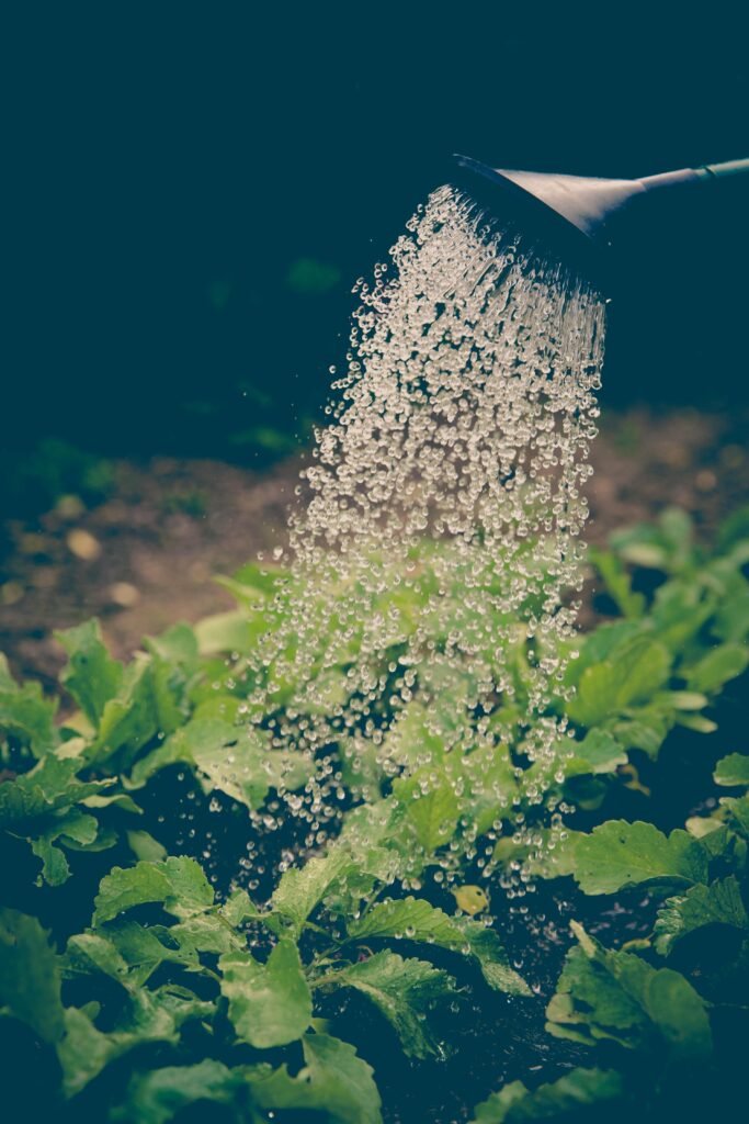sustainable gardening