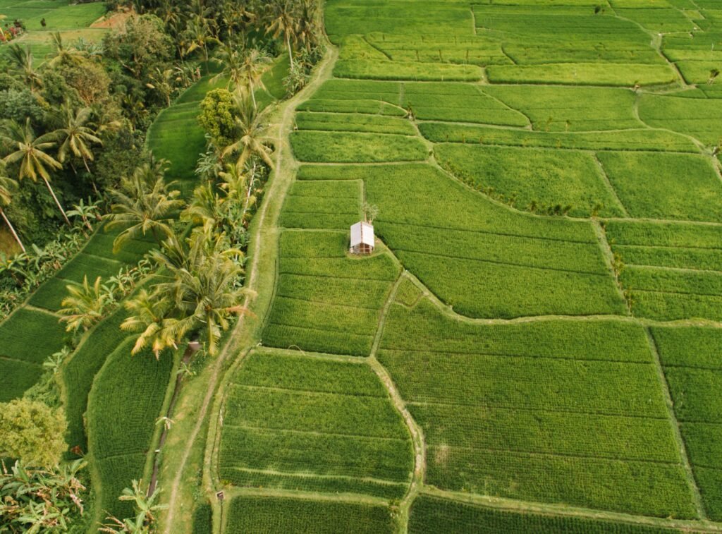 eco friendly house