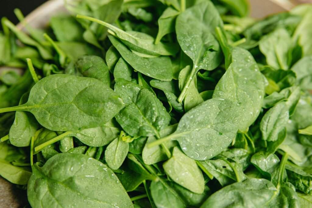 plant based diets