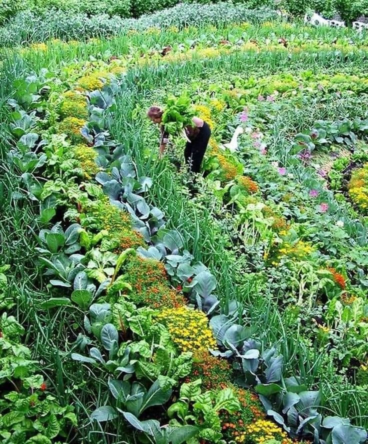 agriculture