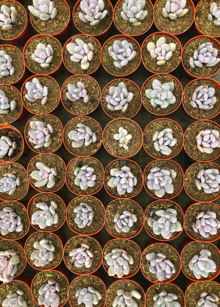 sustainable